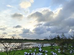 -上海海湾国家森林公园