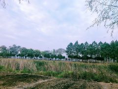 -艾溪湖湿地公园