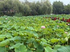 -大明幻境第一城