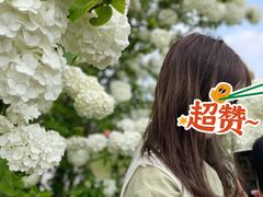 -桃园农庄·桃源宴