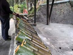 -大本营竹筒饭