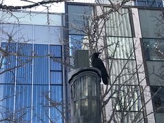 -北海道厅旧本厅舍(旧本庁舎)