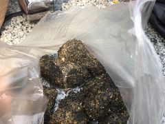 -叶氏麻糍(鼓浪屿店)