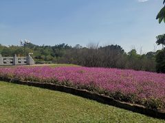 -广州莲花山旅游区