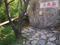 -阳台山自然风景区