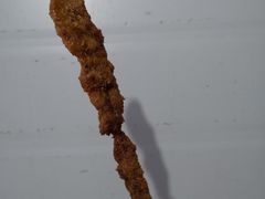 -里脊肉串店(天桥老店)