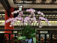 -龙悦湾酒家·八阵鱼生·渔人码头店