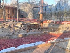 -北京野生动物园