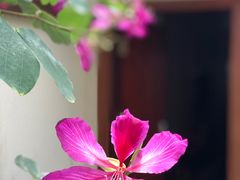 -水底山庄园温泉