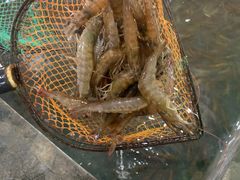 -阔澜蒸汽海鲜自助