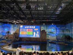 -华夏文旅海洋公园