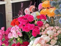 -植物学家的女儿(北马道巷店)