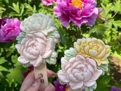-洛阳市隋唐城遗址植物园