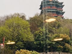 -百姓人家家常菜馆(大观·天地MALL店)