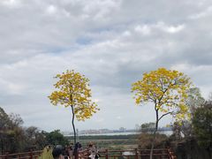 -广州莲花山旅游区