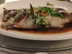 -东海朗廷酒店-唐阁T’ANG COURT 中餐厅