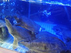 -王捌小院(红花坡店)