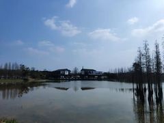 -白鹭湾湿地公园