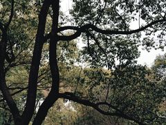 -西郊宾馆·1921餐厅