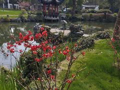 -杭州西湖柳莺里酒店