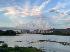 -立新湖公园