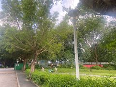 -风云岭森林公园