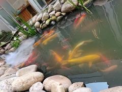 -南枝小馆(银鱼巷店)