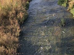 -白水寺森林公园