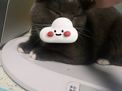 -半岛宠物医院24小时(科华中路店)