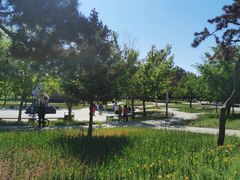 -长春公园(普阳街道)