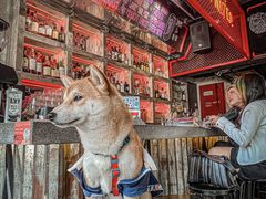 -The Drinkery (瑞金店)