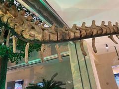 -甘肃地质博物馆