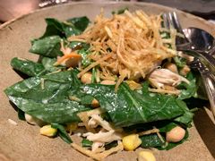 菠菜色拉-TOMATITO(无限极荟店)