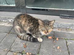 -守英猪脏粉(仓桥街店)