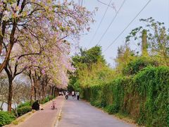 -南丰汇(新港东路店)