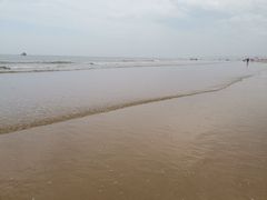 -日照海滨国家森林公园