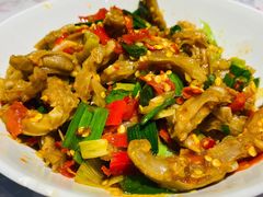 鸭掌筋-壹盏灯(惠农店)