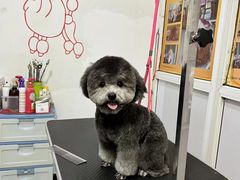 -幸福宠物店(德胜门内大街店)