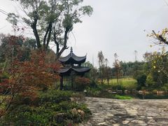 -大慈岩风景区