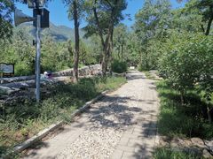 -阳台山自然风景区