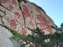 -崂山仰口游览区