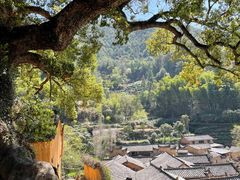 -杨家堂村