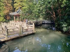 -水濂山森林公园