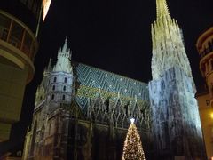 -斯蒂芬主教座堂(Stephansdom)