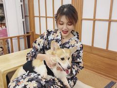 -豆柴町-柴犬主题狗咖(红鼎国际C座店)