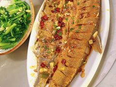 -源水鱼庄·翘嘴鲌店·老字号