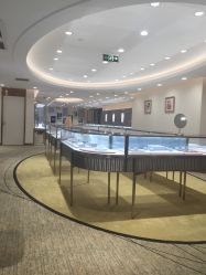 -Zbird钻石小鸟·钻戒婚戒定制高端珠宝私人定制中心