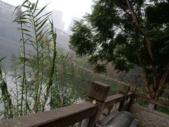 -重庆彩云湖湿地公园