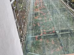 -浏阳石牛寨风景区