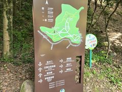 -上海佘山国家森林公园天马山园